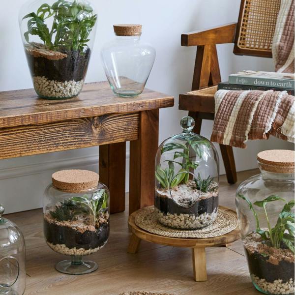 Ivyline Teardrop Glass Lid Terrarium
