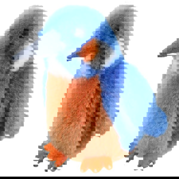 Wilberry Kingfisher - Wilberry Minis