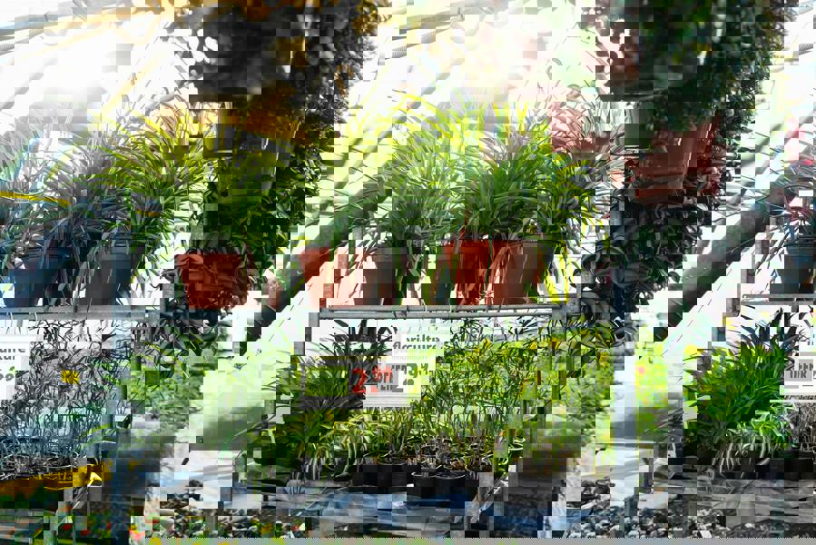 Durable Water Resistant UV Anti-Reflective Cable Tie Pockets | 5 Pack | A5 Clear