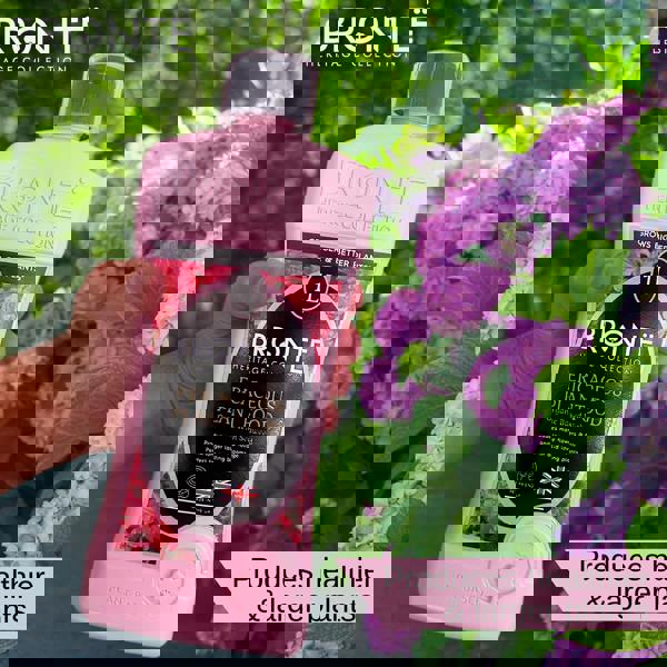 Bronte Heritage Ericaceous Plant Food 1L – Organic, seaweed fertiliser for azalea, camellia & rhododendron, UK made, pet-friendly, boosts growth