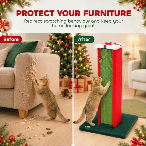 Cat Scratching Post