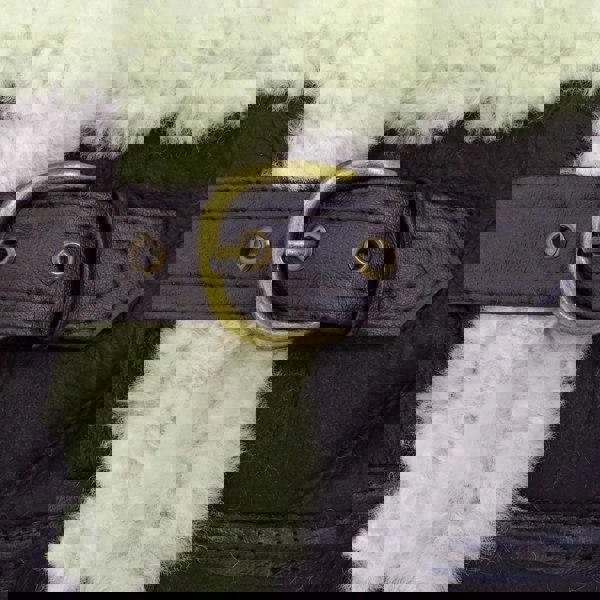 b3-chp_sheepskin-jacket_Brown-Cream_3XL, b3-chp_sheepskin-jacket_Brown-Cream_4XL, b3-chp_sheepskin-jacket_Brown-Cream_L, b3-chp_sheepskin-jacket_Brown-Cream_M, b3-chp_sheepskin-jacket_Brown-Cream_S, b3-chp_sheepskin-jacket_Brown-Cream_XL, b3-chp_sheepskin-jacket_Brown-Cream_XS, b3-chp_sheepskin-jacket_Brown-Cream_XXL