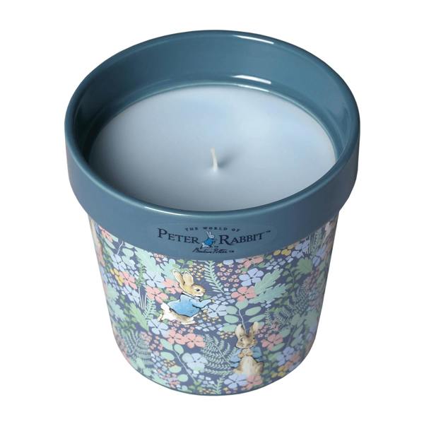 Peter Rabbit Candle Peter Rabbit Wildflower Plant Pot Candle