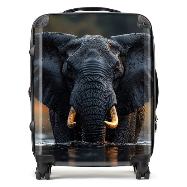 Warren Reed Finn Wilder: Elephant Suitcase
