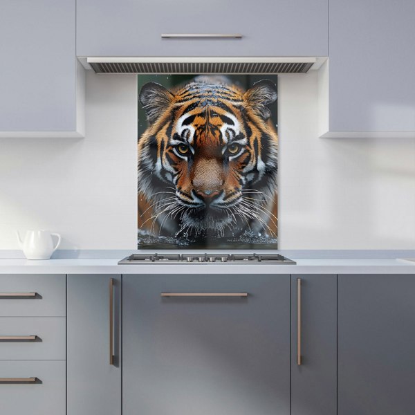 Warren Reed Tiger Glass Kitchen Splashback - 00009