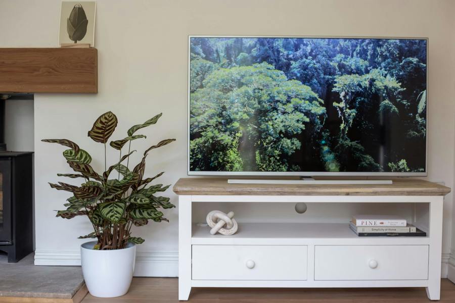 Statement Furniture Florence Wooden TV Stand With 2 Drawers and Shelf
