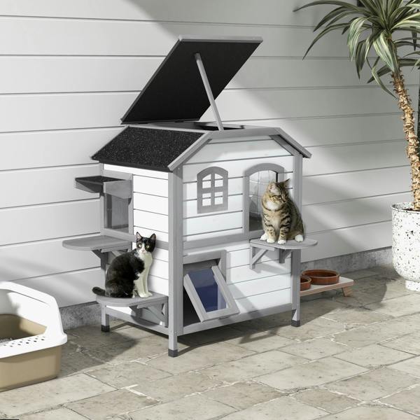 Cat House