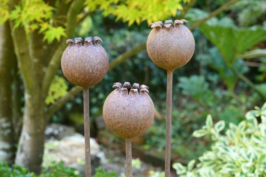 Savage Works Rusty Metal Poppy Seedhead - Metal Garden Flower Sculpture - Garden Decor