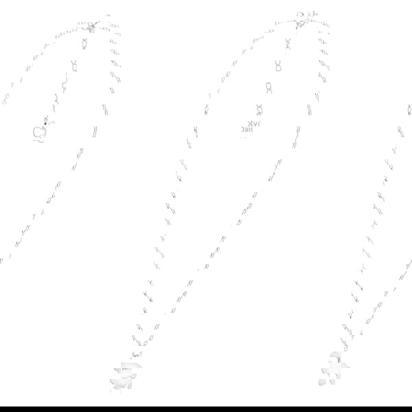 Bernese Mountain Dog Silhouette Silver Necklace - Personalised - MYLEE London