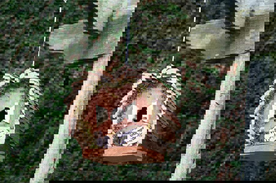 St Helens Handmade Bird House