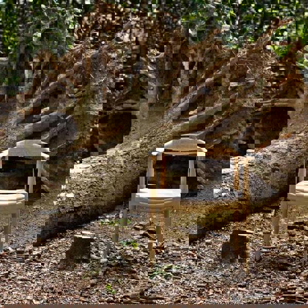 Classic Kennedy Style Dining Chair, Oak-Weilai-Weilai Concept