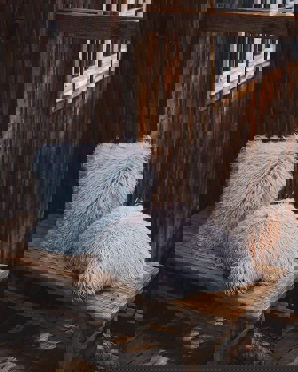 Curly Sheepskin Cushion | Doublesided | 56x56 cm | 40x40 cm Light Grey