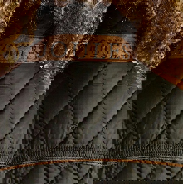 Joules BRAEMAR LUXE Womens Gilet Green