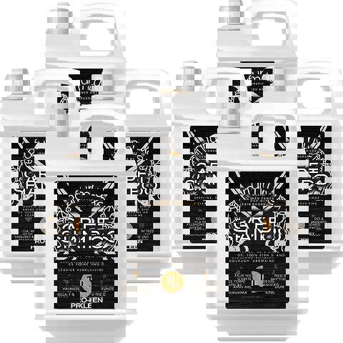 ProKleen Pro-Kleen Designer Creed Fragrance Carpet Shampoo 4L