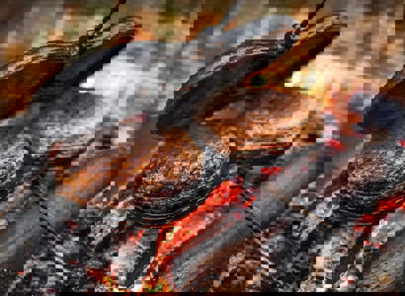 Petromax Burger Iron