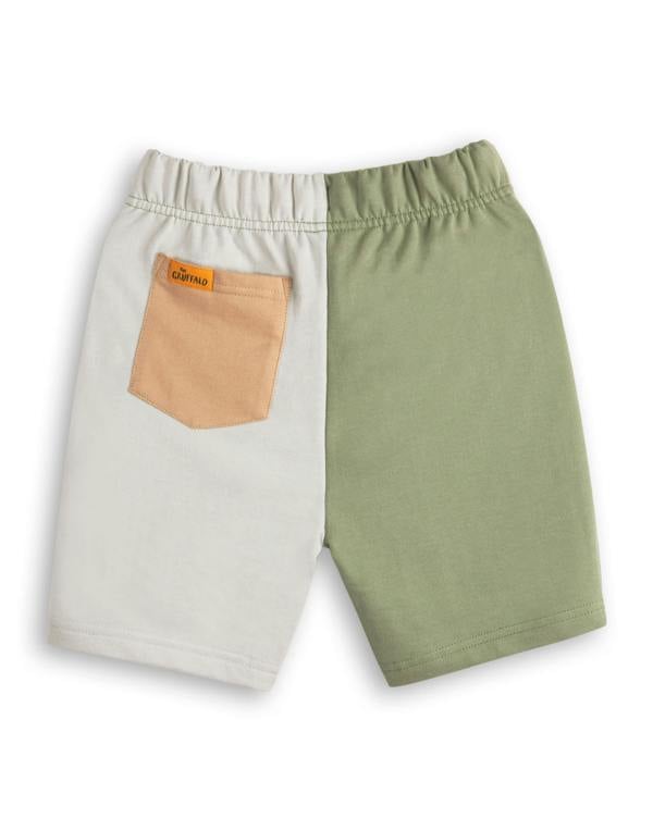 Gruffalo & Friends Boys Multicoloured Colour block T-Shirt and Shorts Set