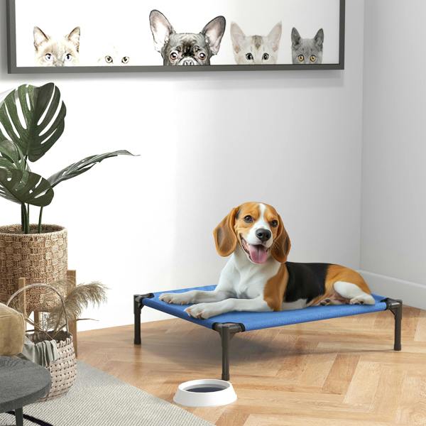 Elevated Dog Bed