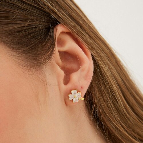 Spero London Best of Luck Four Leaves Clover Sterling Silver Bracelet Necklace Ring and Stud Earring Set - White Full Set