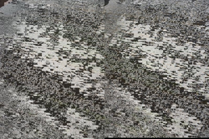 RugsX Andere Rug