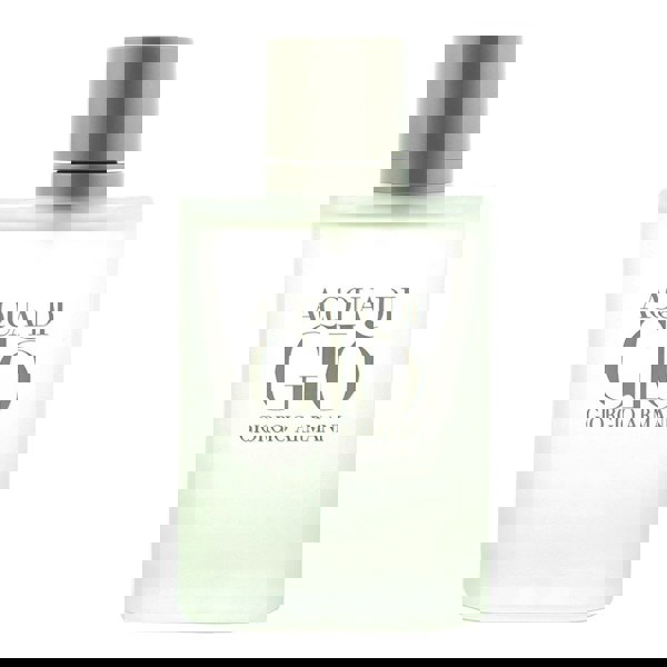 Giorgio Armani Acqua Di Giò Pour Homme Eau De Toilette 100ml for Him