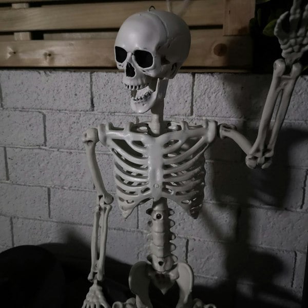 Samuel Alexander 90cm (3ft) Posable Full Body Halloween Skeleton Decoration with Movable Joints
