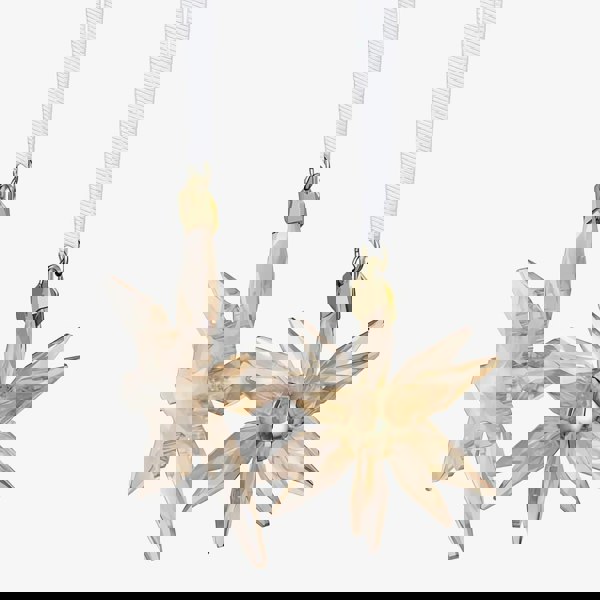 Swarovski Annual Edition Festive 3D Ornament Set 2025 5701824