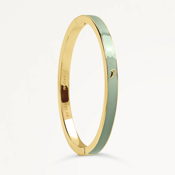 Radley Sion Close Bracelet RYJ3544S