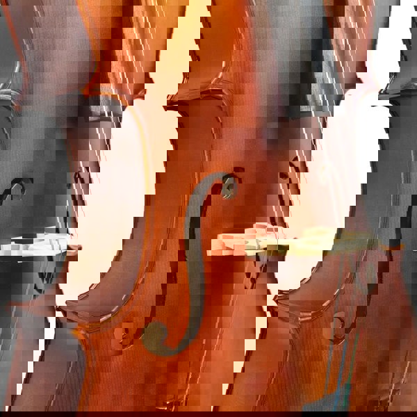 Forenza Prima 2 Cello Outfit - 3/4 Size Cellos and Double Basses