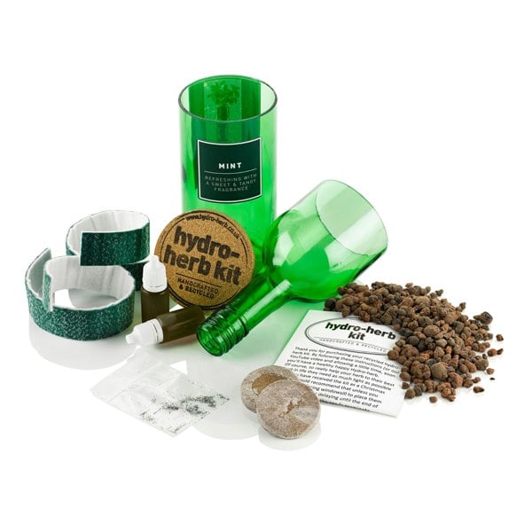 Urban Farm-It Hydro-Herb Mint Kit