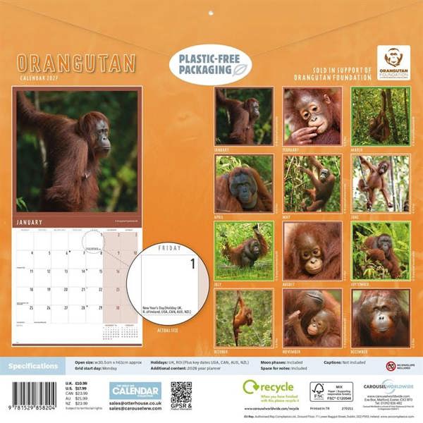 Orangutan Calendar 2027, Wall Calendars, Month To View, Animals, Gift