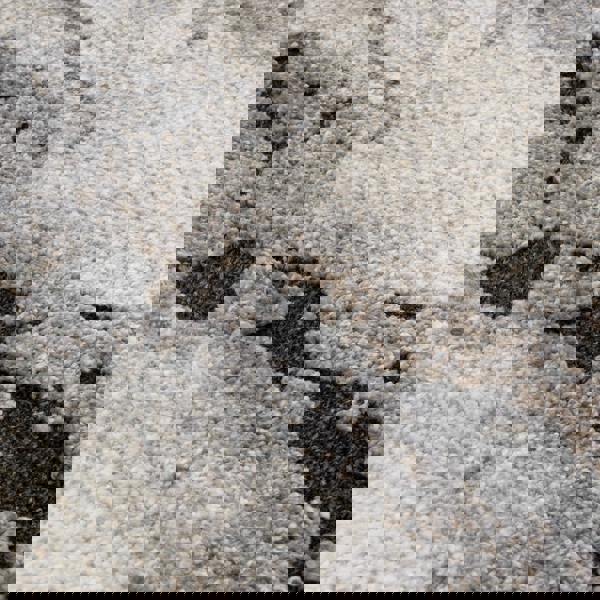 Asiatic Mirage Oasis Grey Rug