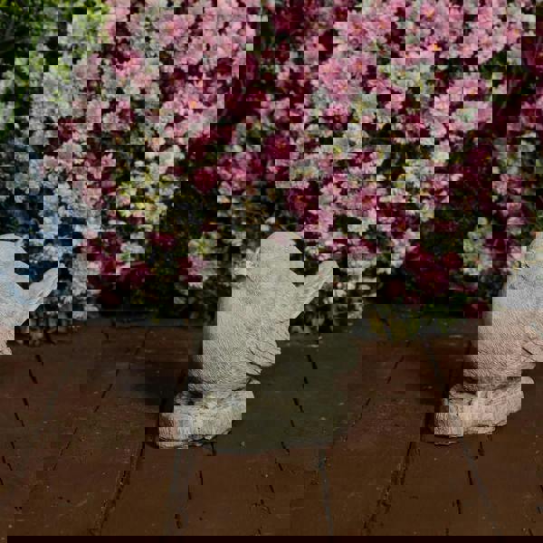 Adorable and Charming Stone Cast Robin Ornament 