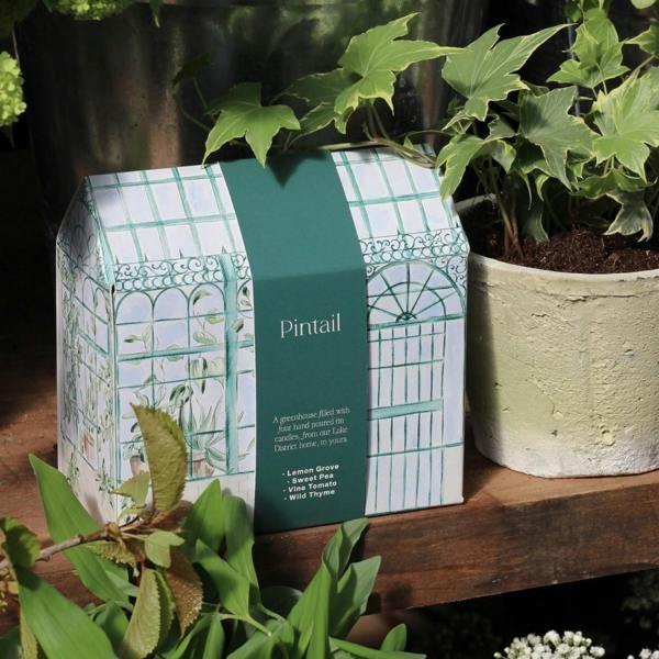 Greenhouse Gift Set featuring a house-shaped box with botanical illustrations, nestled among green garden plants and terracotta pots.