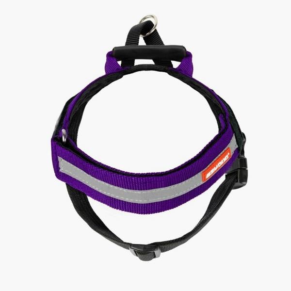 EzyDog Express Dog Harness in Purple