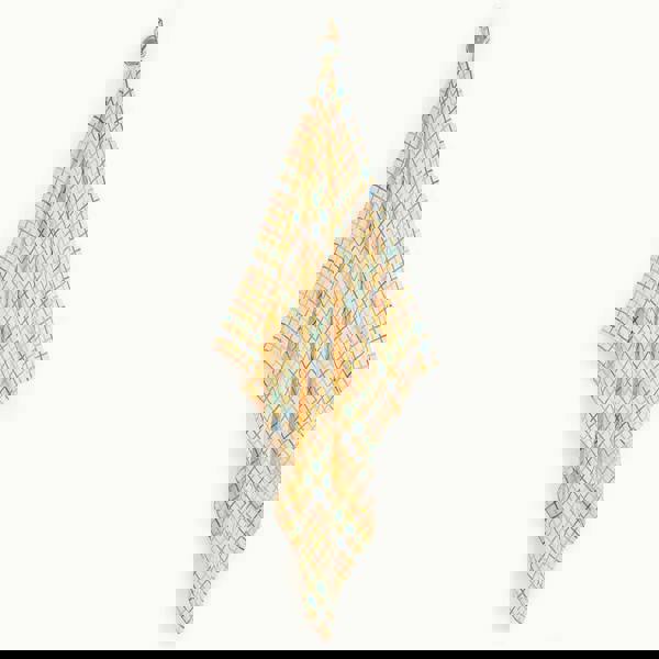 The Bonnie Mob Ditto - Rainbow Check Large Muslin Swaddle Blanket