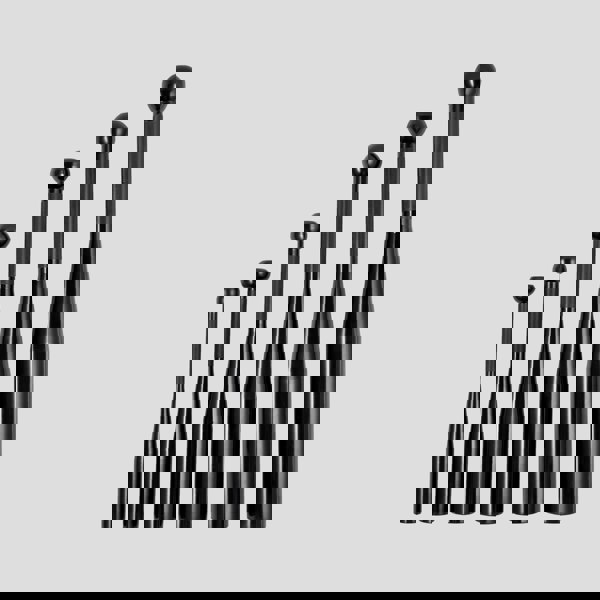 Phoenix Fitness 15KG Indian Club