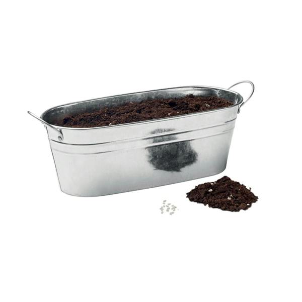 MidOcean Herb Seeds Plant Pot - Matt Silver - 