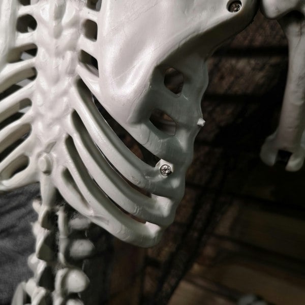 Samuel Alexander Pack of 6 90cm (3ft) Posable Full Body Halloween Skeleton Decoration with Movable Joints
