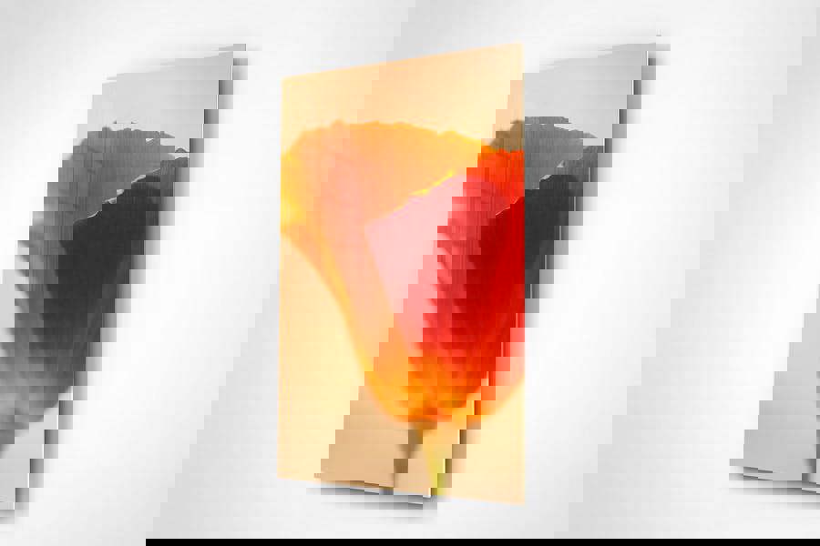 californian poppy floral art print