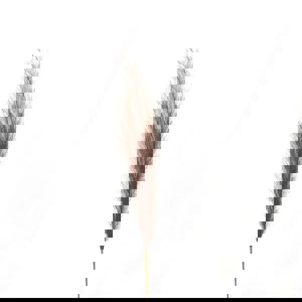 Hill Interiors Pampas Grass Artificial Flower - Brown