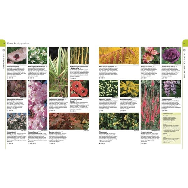 RHS What Plant Where Encyclopedia by The Royal Horticultural Society