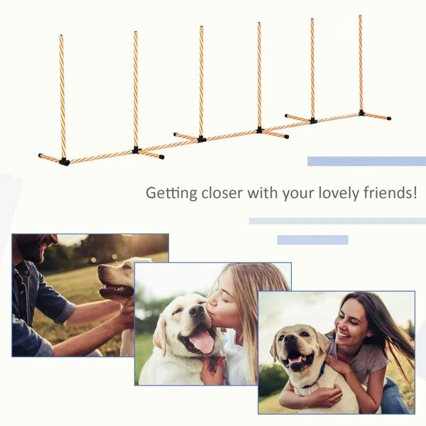 Dog agility weave poles obstacle set, orange and white poles with black bases