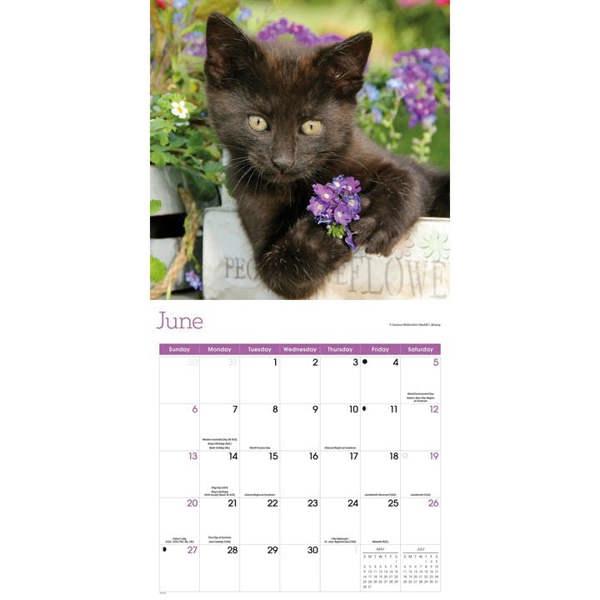 Black Kittens Calendar 2027, Wall Calendars, Month To View, Cats, Gift