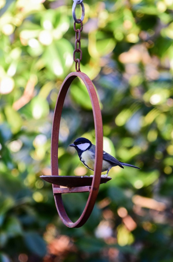 Savage Works Hanging Bird Feeder Platform Ring