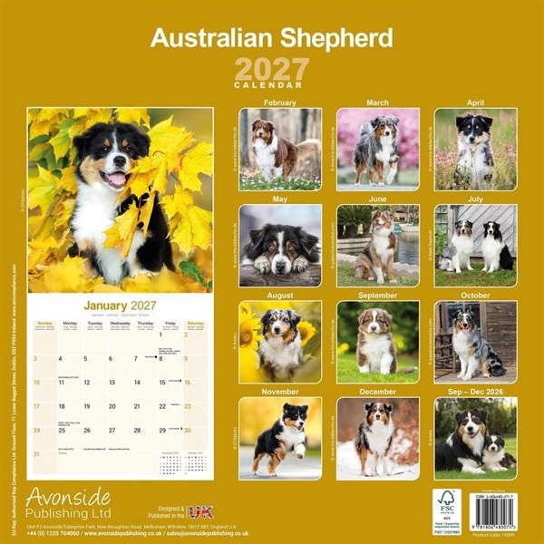 Australian Shepherd Calendar 2027, Wall Calendars, Month To View, Dogs, Gift