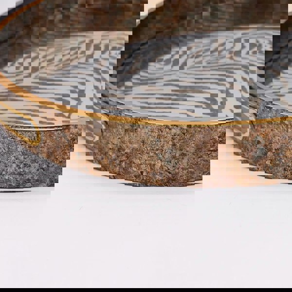 Maison des Cadeaux Round Zebra Print Tray and Drink Coasters Set