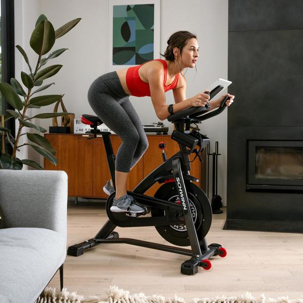 Schwinn 800IC Indoor Cycle - uk.johnsonfitness.com