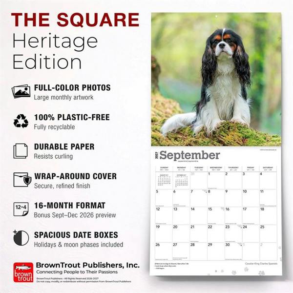 Cavalier King Charles Spaniels Calendar 2027, Wall Calendars, Month To View, Dogs, Gift