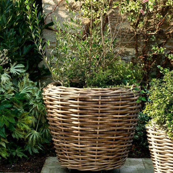 XXL handwoven rattan planter on wheels with an olive tree in a garden setting.