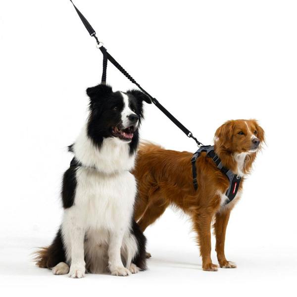 EzyDog Zero Shock Dog Lead Coupler